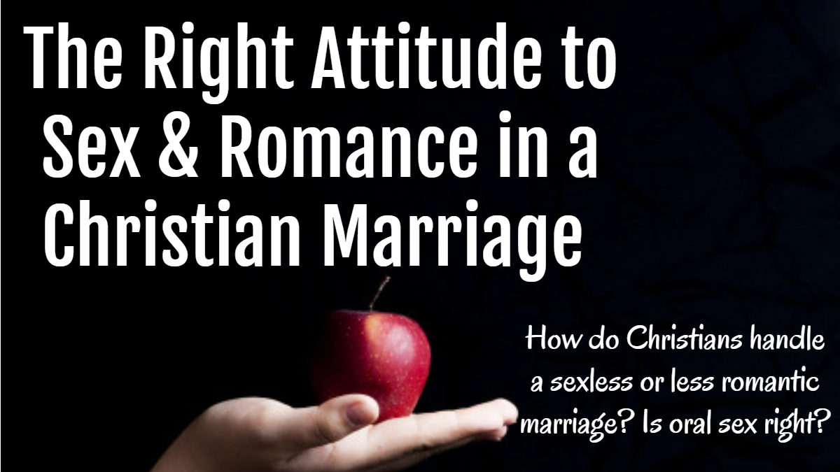 The Right Attitude to Sex and Romance in a Christian Marriage LB BOOKS About JESUS pic
